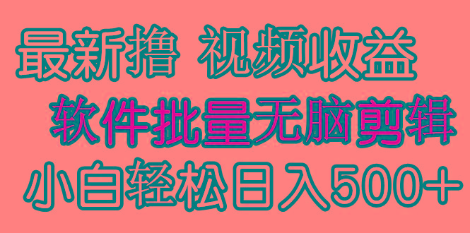 (9569期)发视频撸收益，软件无脑批量剪辑，第一天发第二天就有钱-闲赋网