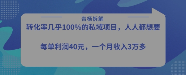 转化率最高的私域项目，每单利润40-50米，月入过1w-闲赋网
