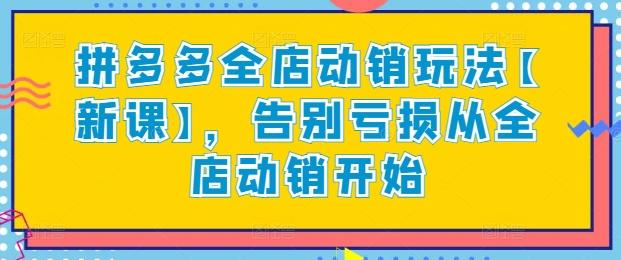 拼多多全店动销玩法【新课】，告别亏损从全店动销开始-闲赋网