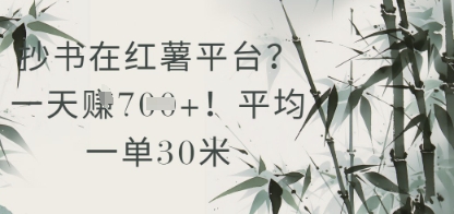 抄书在小红薯平台？平均一单30米，一天收益几张！-闲赋网