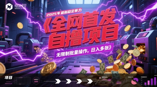全网首发，2025年最新稳定暴力全自动自撸项目，无限制批量操作，日入多张【揭秘】-闲赋网