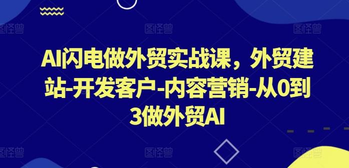 AI闪电做外贸实战课，​外贸建站-开发客户-内容营销-从0到3做外贸AI-闲赋网