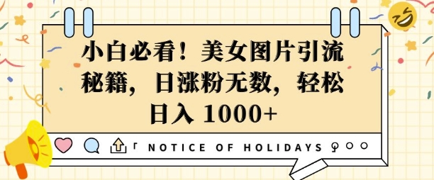 小白必看，美女图片引流秘籍，日涨粉无数，轻松日入几张【揭秘】-闲赋网
