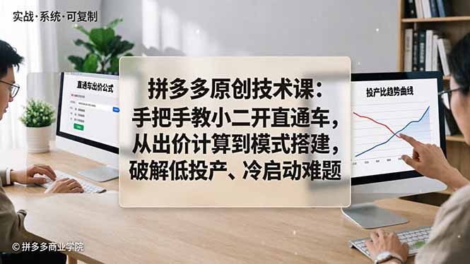 拼多多原创技术课：手把手教小二开直通车，从出价计算到模式搭建，破解低投产、冷启动难题-闲赋网