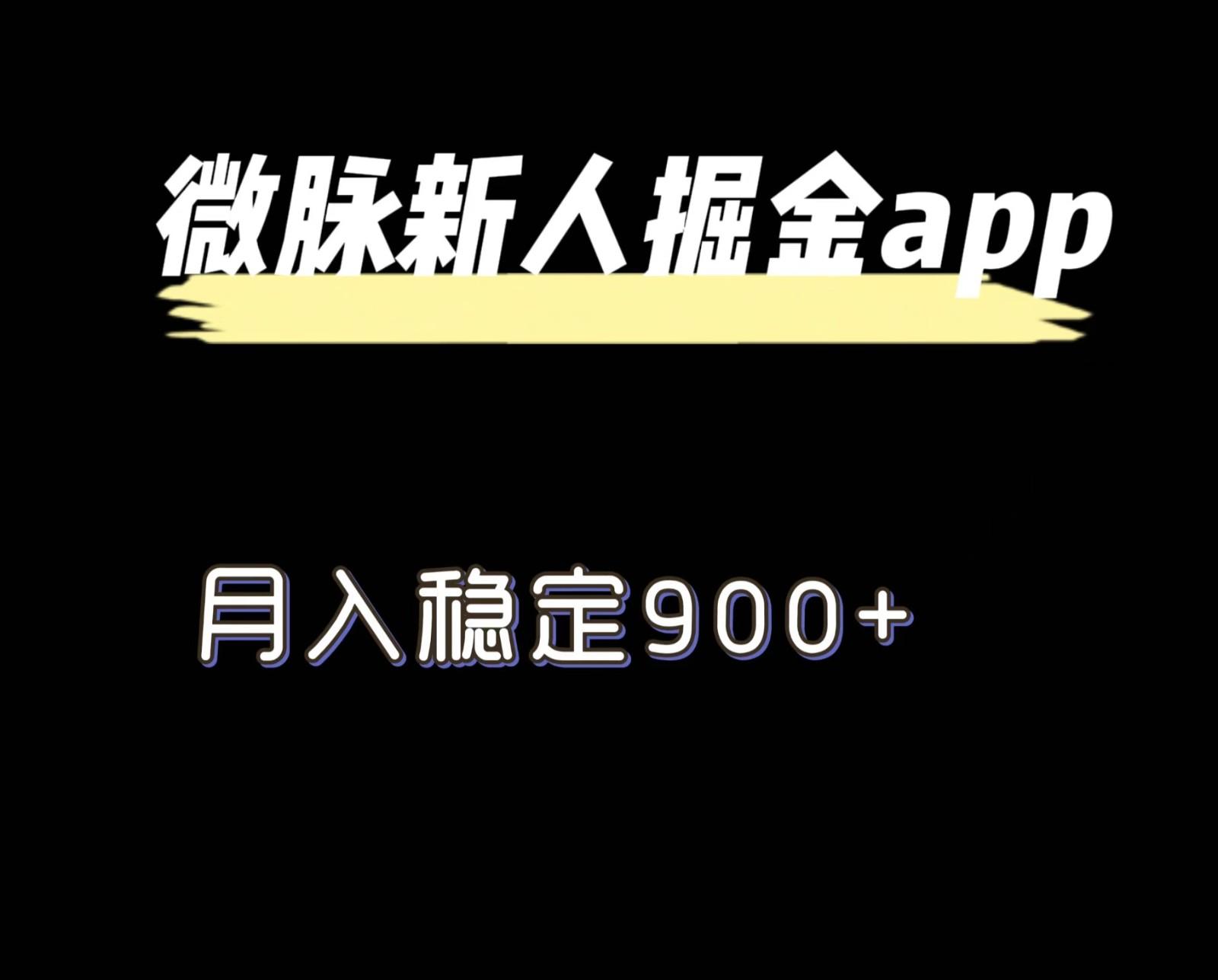 最新微脉长久项目，拉新掘金，月入稳定900+-闲赋网
