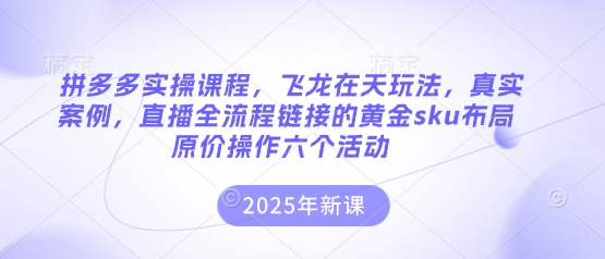 拼多多实操课程，飞龙在天玩法，真实案例，直播全流程链接的黄金sku布局原价操作六个活动-闲赋网