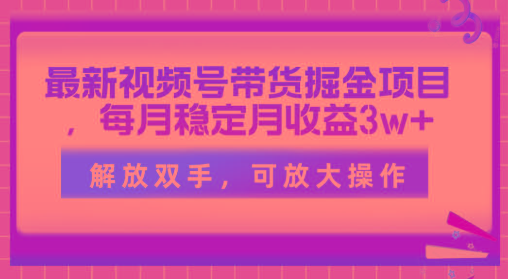 最新视频号带货掘金项目，每月稳定月收益3w+，解放双手，可放大操作-闲赋网