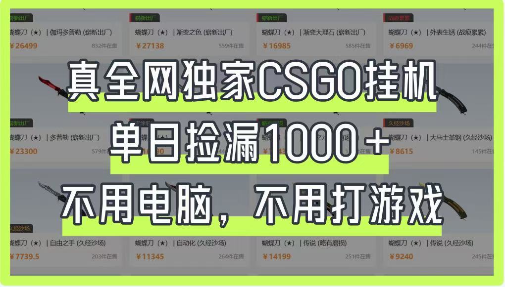 真全网独家CSGO挂机，单日捡漏1000+，不用电脑，不用养号-闲赋网
