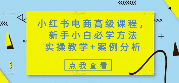 小红书电商高级课程，新手小白必学方法，实操教学+案例分析-闲赋网