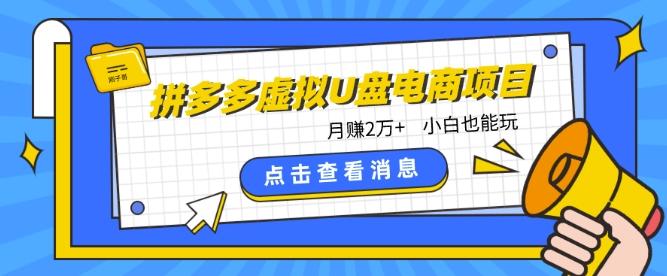 拼多多虚拟U盘电商红利项目：月赚2万+，新手小白也能玩-闲赋网