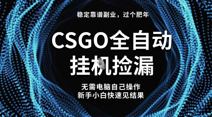 【稳定副业】全球最热门游戏CSGO全自动捡漏，最新玩法，新手小白日入5张+【揭秘】-闲赋网