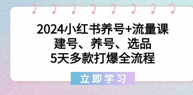 2024小红书养号+流量课：建号、养号、选品，5天多款打爆全流程-闲赋网