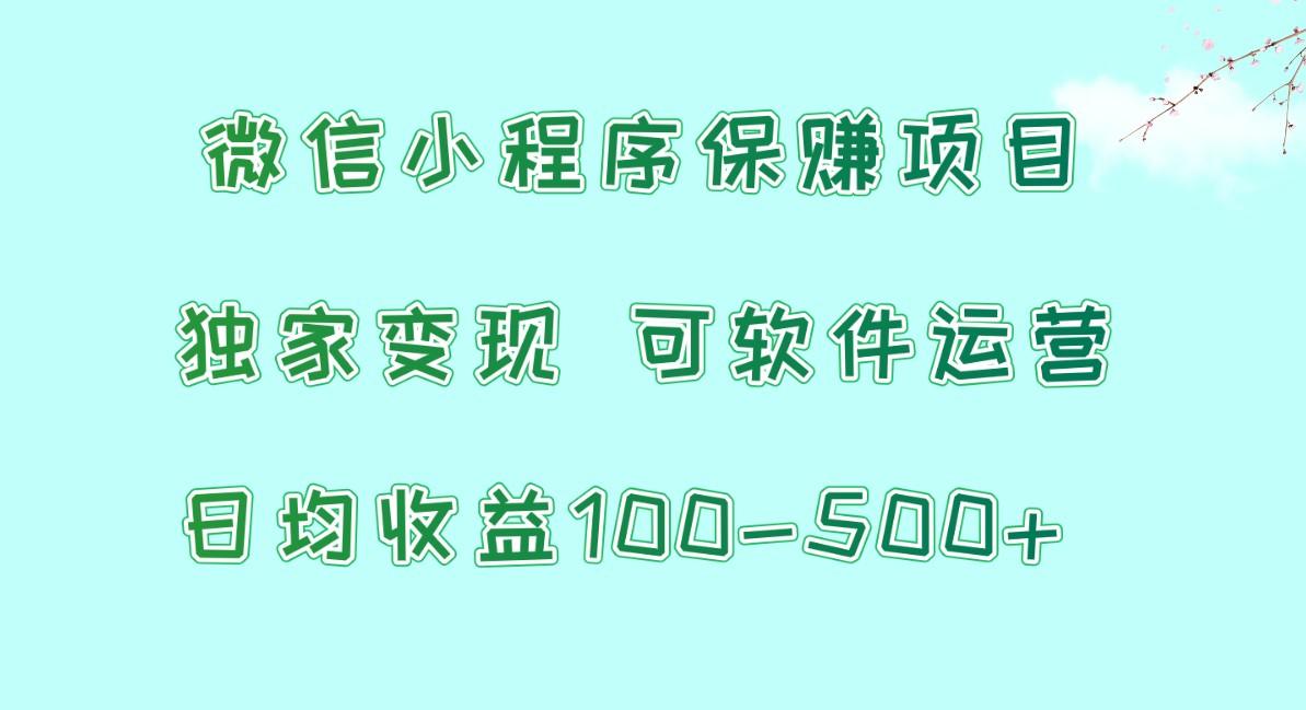 微信小程序保赚项目，日均收益100~500+，独家变现，可软件运营-闲赋网