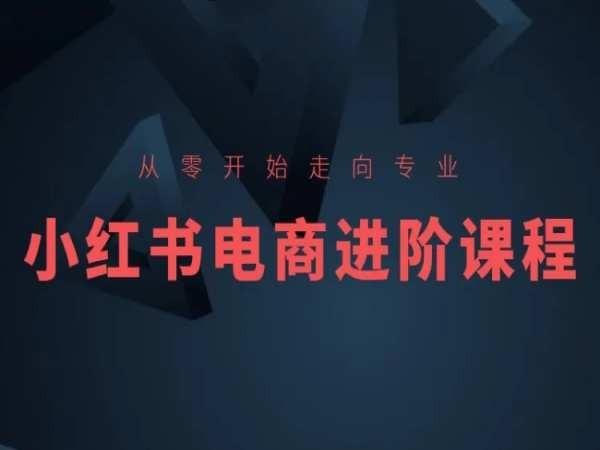 从零开始走向专业，小红书电商进阶课程-闲赋网