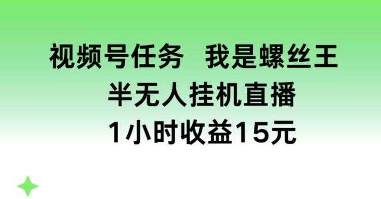 视频号任务，我是螺丝王， 半无人挂机1小时收益15元【揭秘】-闲赋网