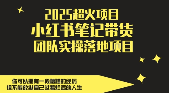 2025超火项目，副业最佳选择，小红书笔记带货团队实操落地项目，，轻松日入5张-闲赋网