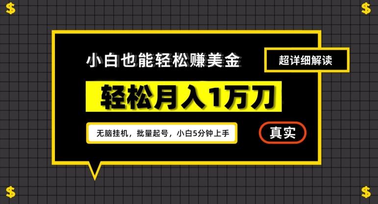 谷歌看广告撸美金2.0，无脑挂机，多号操作，月入1万刀【揭秘】-闲赋网