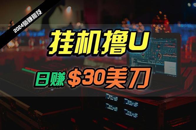 (10013期)日赚30美刀，2024最新海外挂机撸U内部项目，全程无人值守，可批量放大-闲赋网