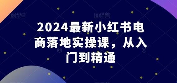 2024最新小红书电商落地实操课，从入门到精通-闲赋网