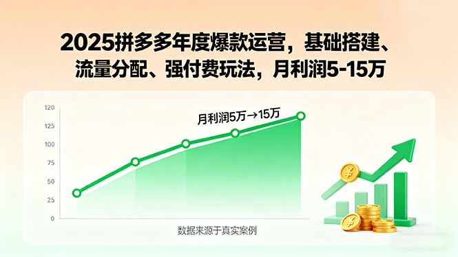 2025拼多多年度爆款运营，基础搭建、流量分配、强付费玩法，月利润5-15万-闲赋网