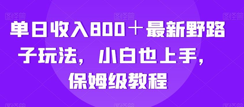 单日收入800＋最新野路子玩法，小白也上手，保姆级教程-闲赋网