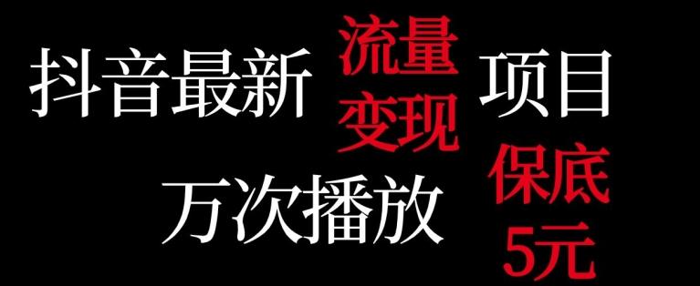 抖音流量变现，万次播放保底5元，额外收入-闲赋网
