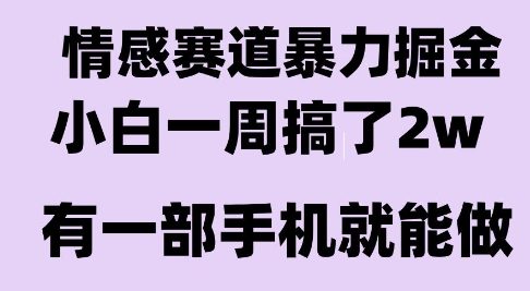 情感暴力掘金项目，新人操作一周挣了2W，长期稳定小白可做【揭秘】-闲赋网