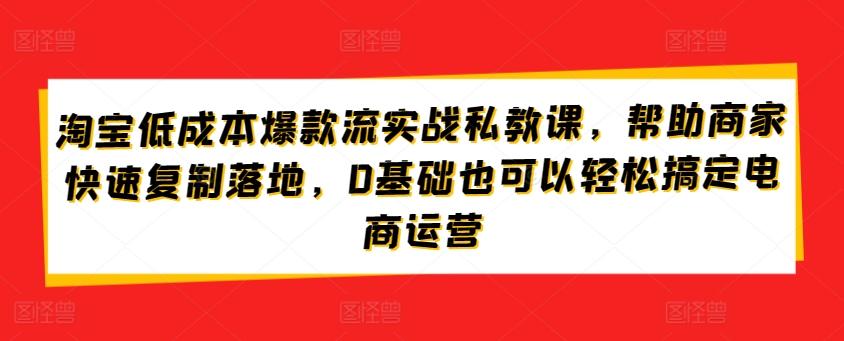 淘宝低成本爆款流实战私教课，帮助商家快速复制落地，0基础也可以轻松搞定电商运营-闲赋网