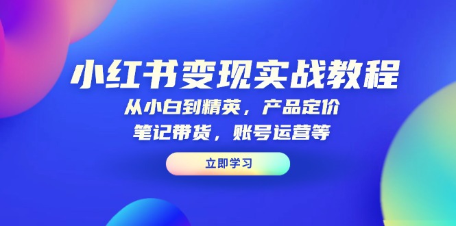 小红书变现实战教程：从小白到精英，产品定价，笔记带货，账号运营等-闲赋网