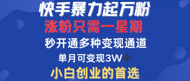 快手暴力起万粉，涨粉只需一星期，多种变现模式，直接秒开万合，单月变现过W【揭秘】-闲赋网