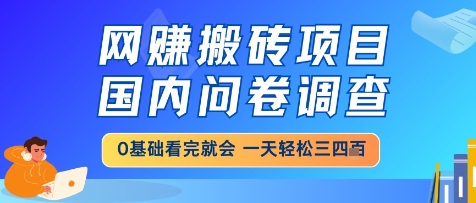 网创搬砖项目，国内问卷调查，小白轻松上手，一天三四张的也不难，干就完了【揭秘】-闲赋网