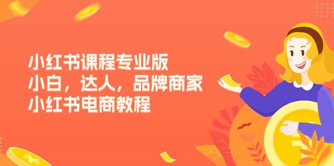 小红书课程专业版，小白，达人，品牌商家，小红书电商教程(15节-闲赋网