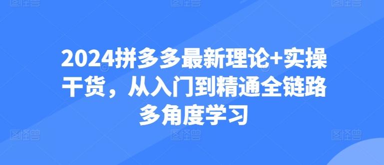 2024拼多多最新理论+实操干货，从入门到精通全链路多角度学习-闲赋网