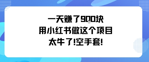 一天挣了9张用小红书做这个项目太牛了，空手套-闲赋网