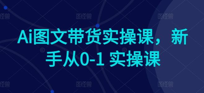Ai图文带货实操课，新手从0-1 实操课-闲赋网