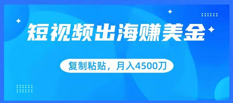 短视频出海赚美金，复制粘贴批量操作，小白轻松掌握，月入4500美刀【揭秘】-闲赋网