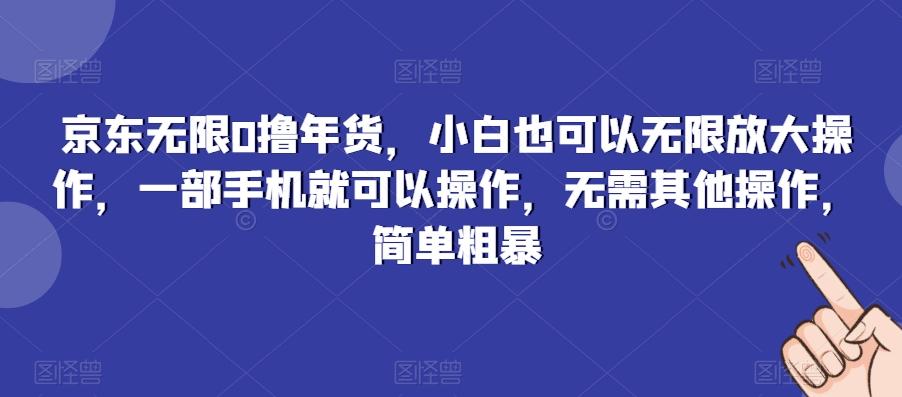 京东无限0撸年货，小白也可以无限放大操作，一部手机就可以操作，无需其他操作，简单粗暴-闲赋网