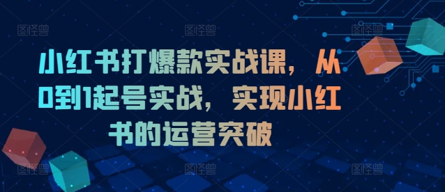 小红书打爆款实战课，从0到1起号实战，实现小红书的运营突破-闲赋网