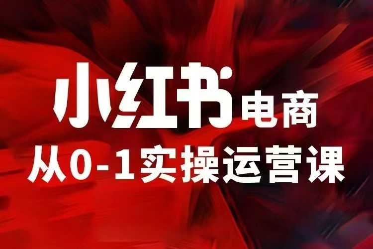小红书电商运营，97节小红书vip内部课，带你实现小红书赚钱-闲赋网
