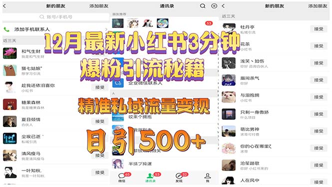 12月最新小红书3分钟爆粉引流秘籍 精准私域流量变现 日引500+-闲赋网