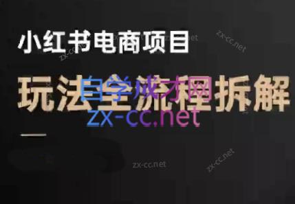 菲菲老师·小红书电商玩法(更新7月)-闲赋网