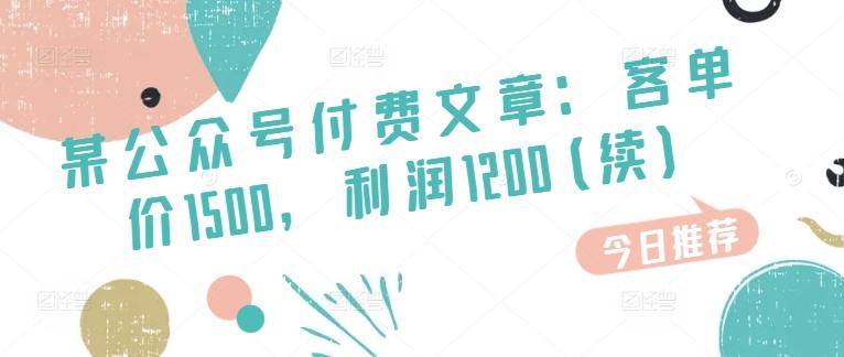 某公众号付费文章：客单价1500，利润1200(续)，市场几乎可以说是空白的-闲赋网