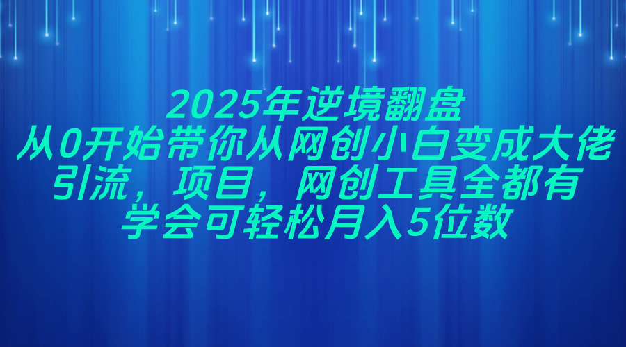 2025年逆境翻盘，从0开始带你从网创小白变成大佬，引流，项目，网创工…-闲赋网