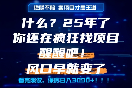 什么？25年你还在疯狂找项目做，醒醒吧，看完这些你全都懂了！【揭秘】-闲赋网
