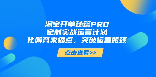淘宝开单秘籍PRO，定制实战运营计划，化解商家痛点，突破运营瓶颈-闲赋网