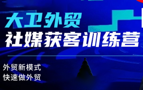 大卫老师·外贸社媒获客独家训练营(更新)-闲赋网
