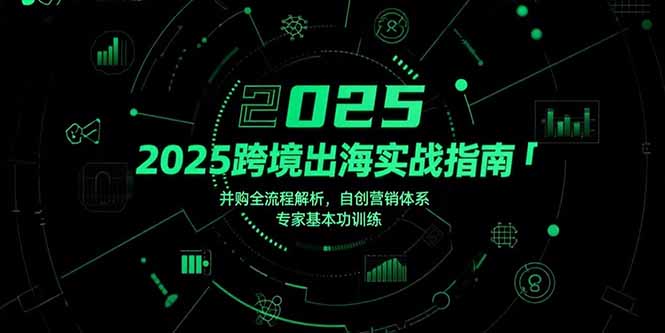 2025跨境出海实战指南，并购全流程解析，自创营销体系，专家基本功训练-闲赋网