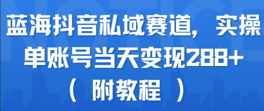 蓝海抖音私域赛道，实操单账号当天变现288+(附教程)-闲赋网
