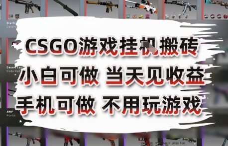 CSGO游戏挂G搬砖，小白纯手机即可操作，不用电脑打游戏，日入3张+，副业网创项目【揭秘】-闲赋网