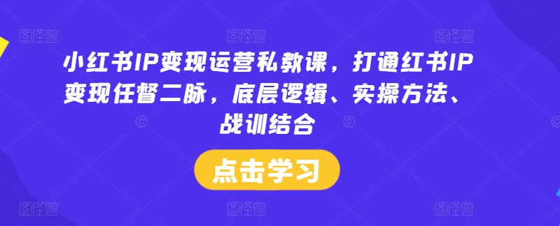 小红书IP变现运营私教课，打通红书IP变现任督二脉，底层逻辑、实操方法、战训结合-闲赋网